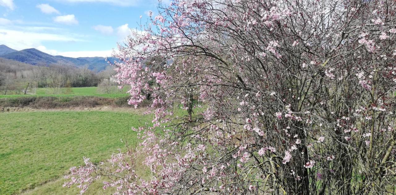 Casa Can Boix La Vall de Bianya Bagian luar foto
