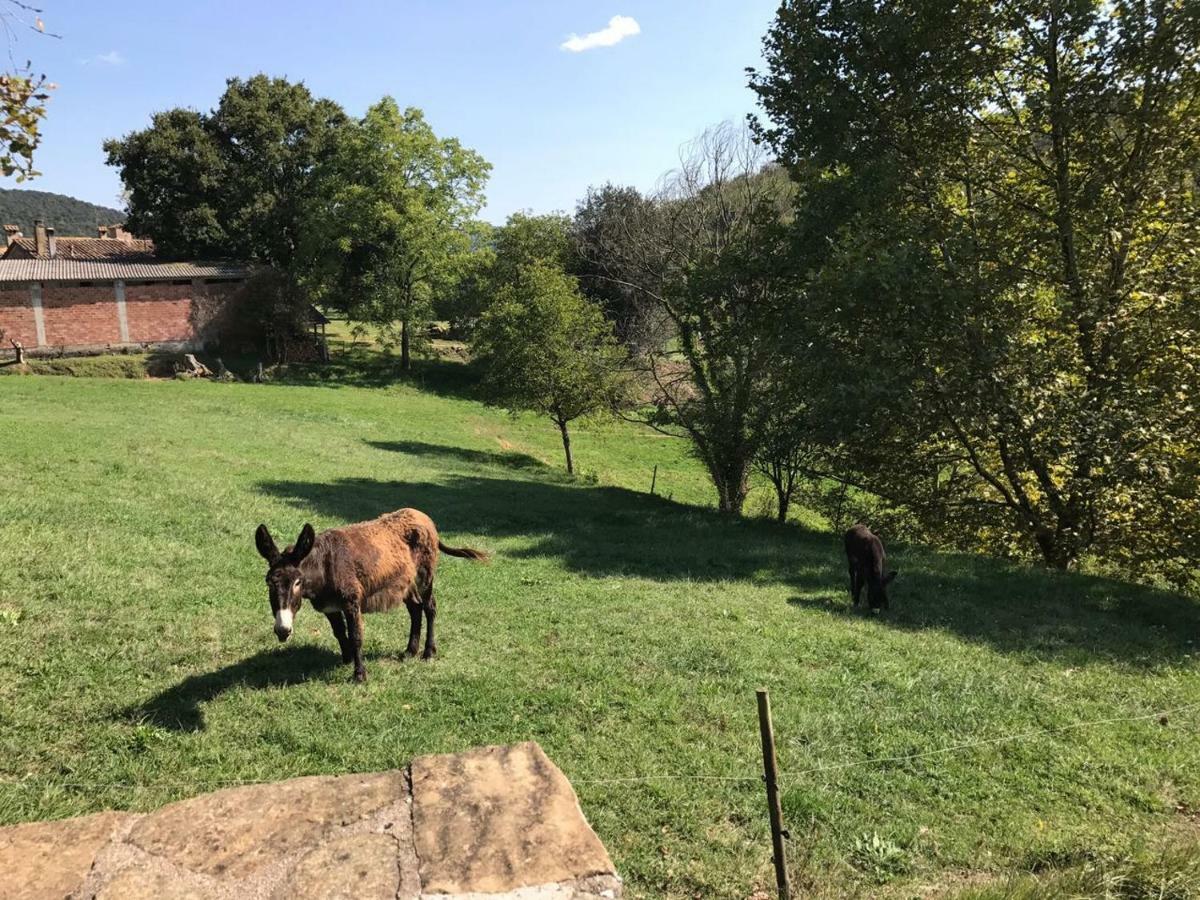 Casa Can Boix La Vall de Bianya Bagian luar foto
