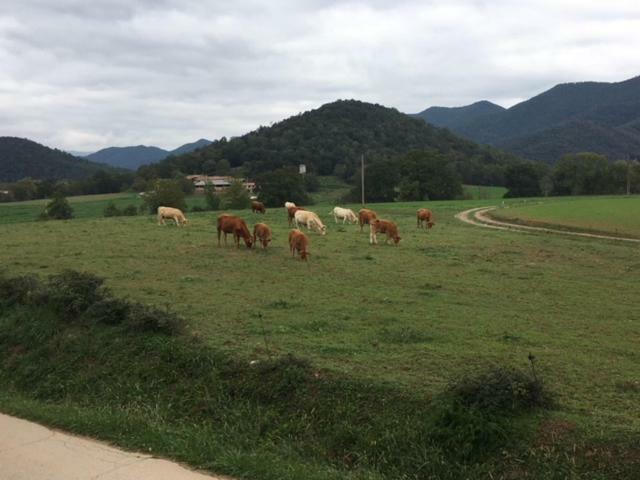 Casa Can Boix La Vall de Bianya Bagian luar foto