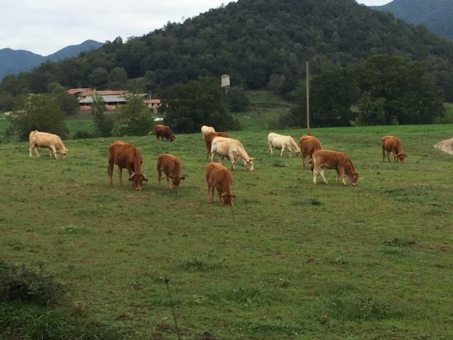 Casa Can Boix La Vall de Bianya Bagian luar foto