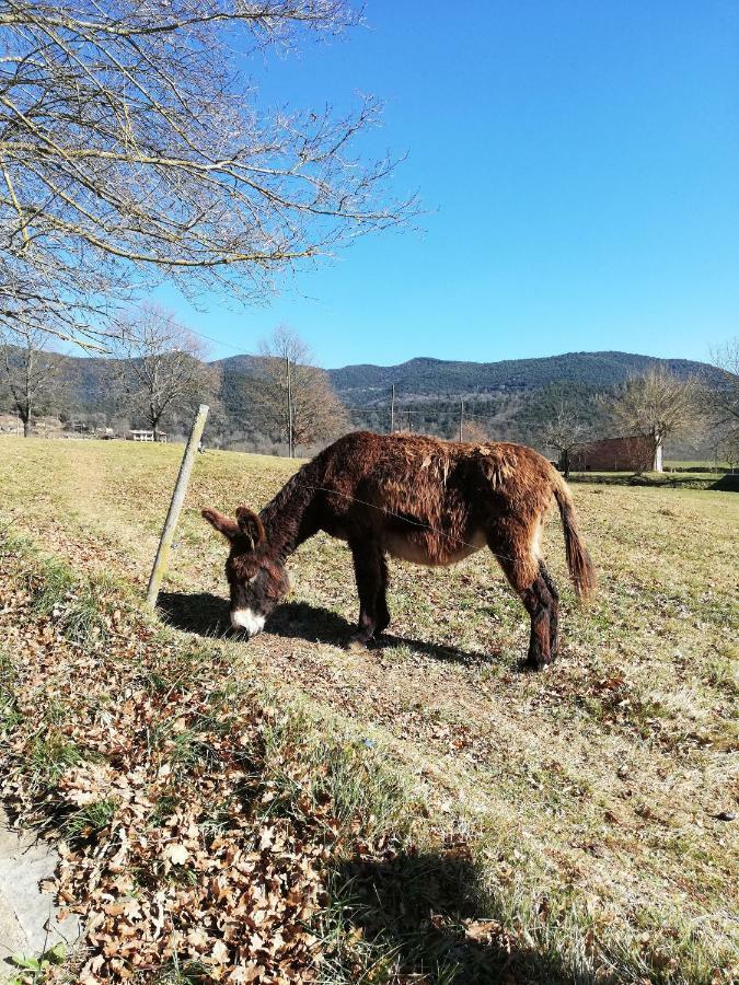 Casa Can Boix La Vall de Bianya Bagian luar foto