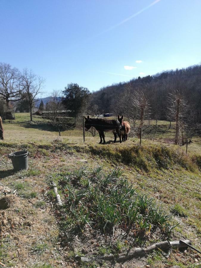 Casa Can Boix La Vall de Bianya Bagian luar foto