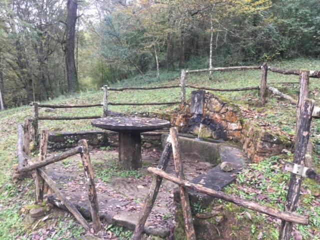 Casa Can Boix La Vall de Bianya Bagian luar foto