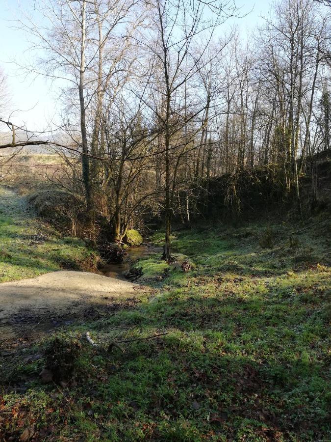 Casa Can Boix La Vall de Bianya Bagian luar foto